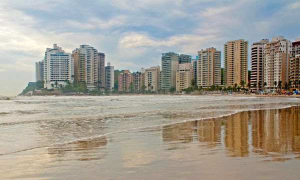 Jardim Tejereba