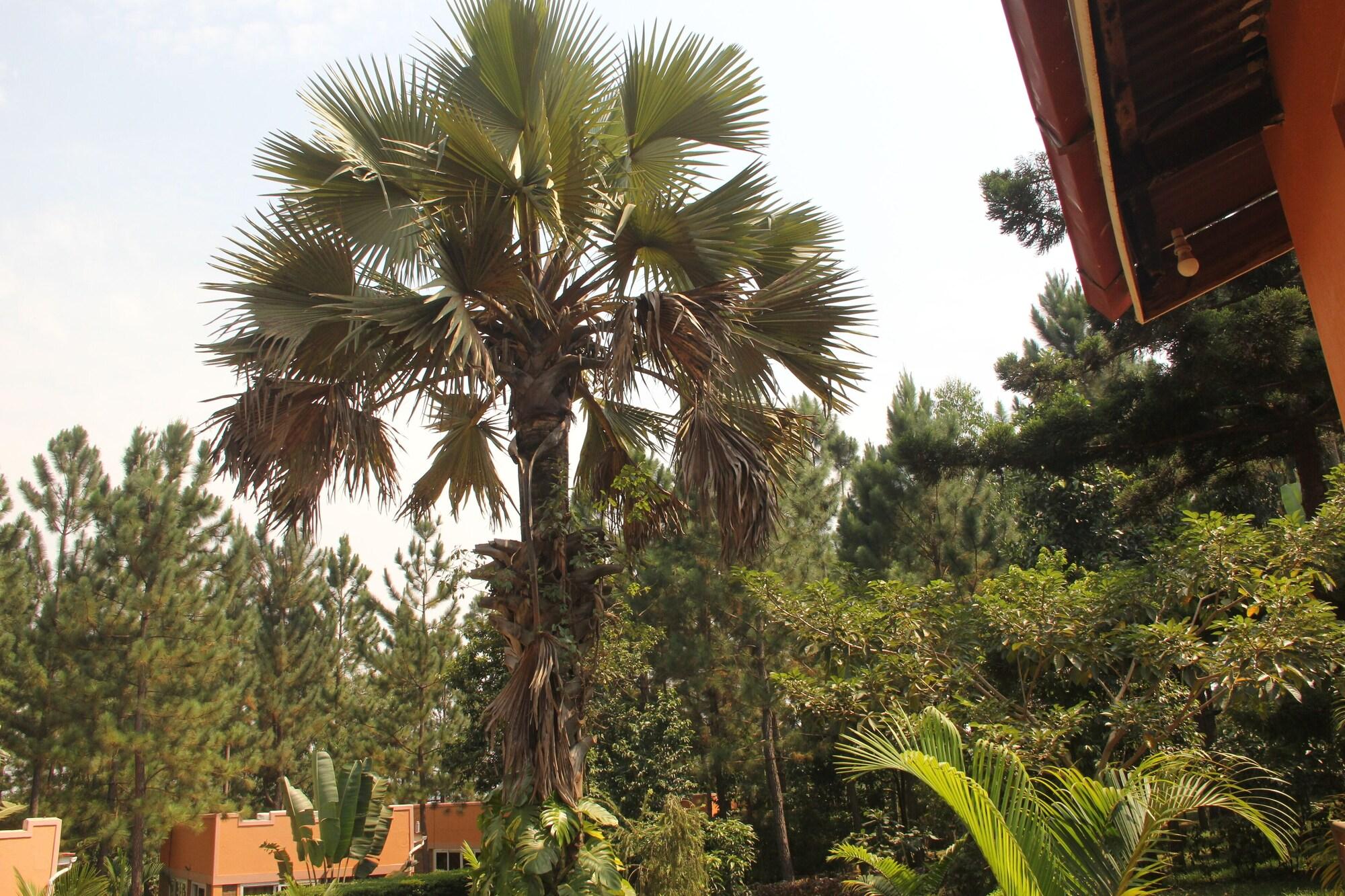 Vista Exterior Saltek Forest cottages