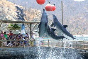 Actividad - Excursión a Playa Blanca opción de Acuario y Museo