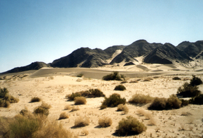 Mexicali