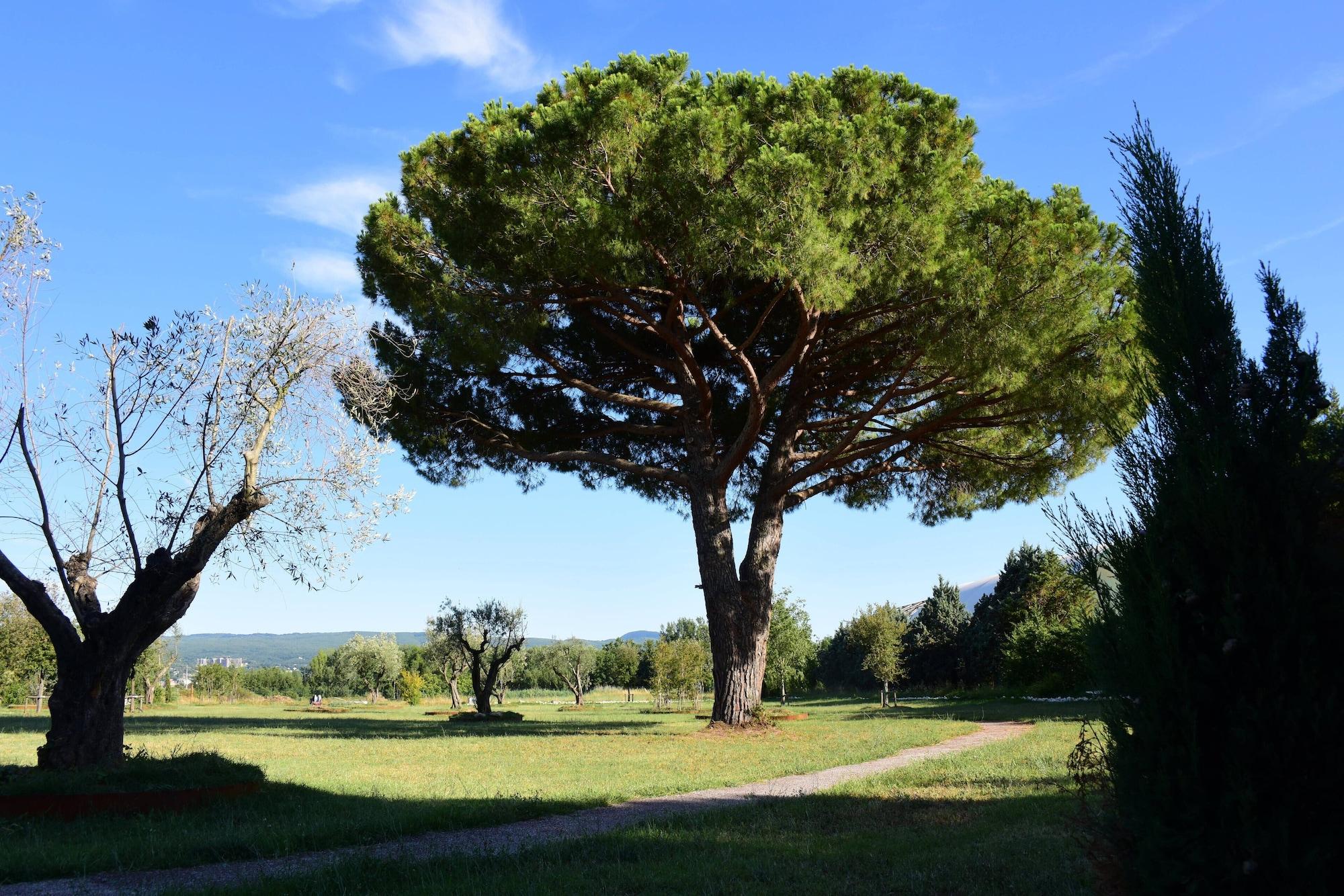 Vista Exterior Hotel Salus Terme - Adults Only