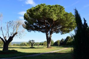Alojamiento - Hotel Salus Terme - Adults Only