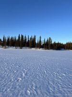 Alquiler Vacacional - Villa Borealis