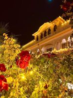 Alojamiento - The Dhawala Resort