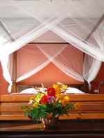 Alquiler Vacacional - Green Gecko