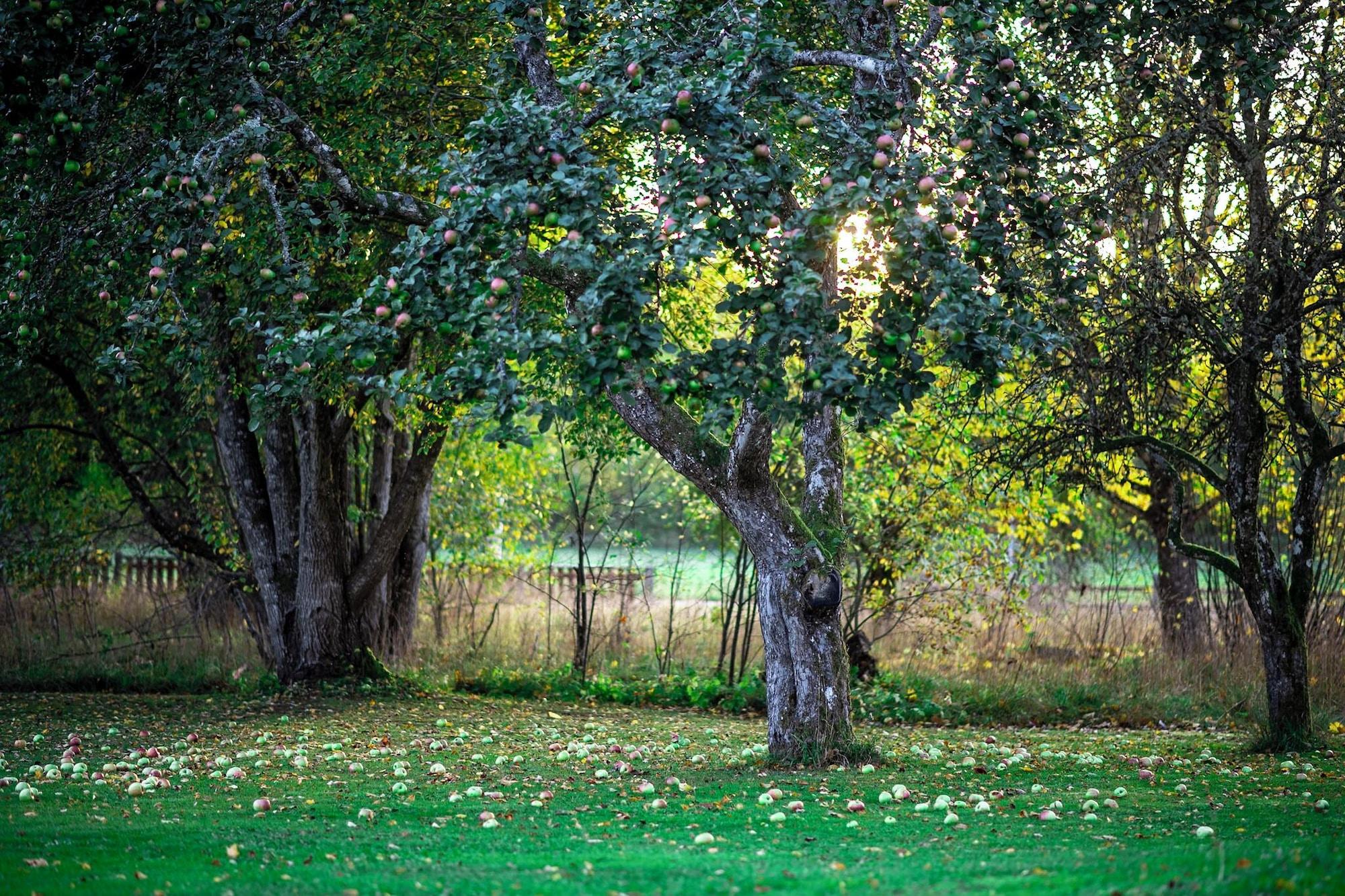 Vista Exterior Villa Gransholm
