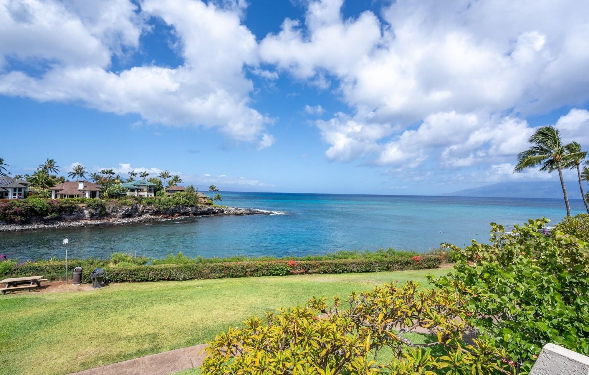Playa Napili Point B35 1 Bedroom Condo