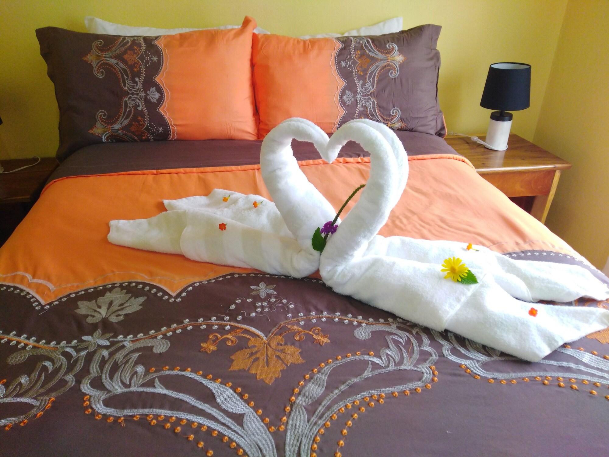 Varios Cassidini House