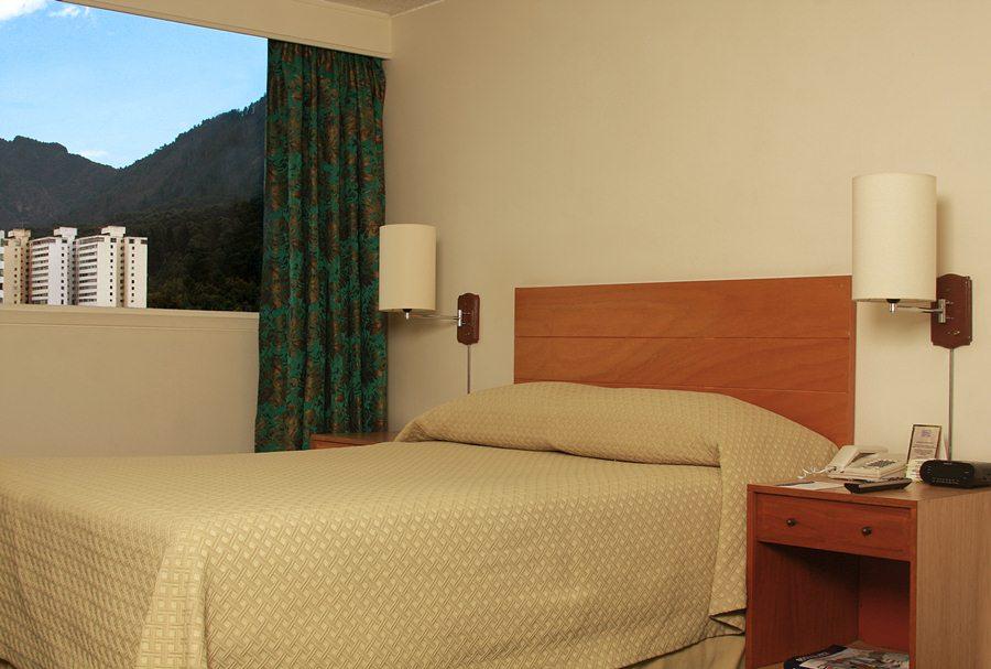 Hotel Hotel Dann Avenida 19