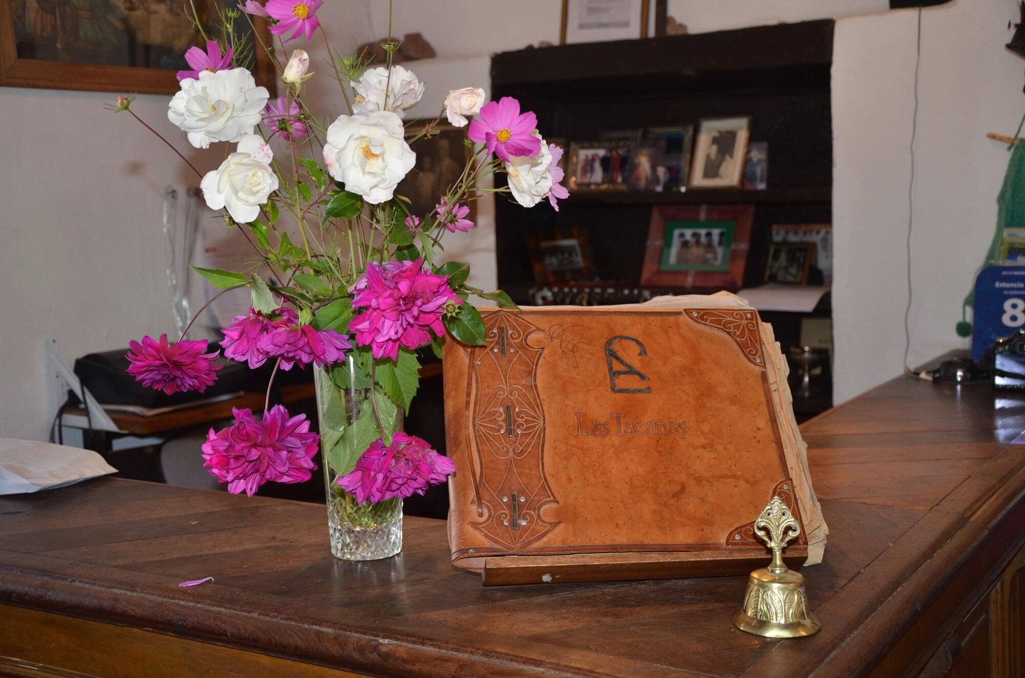 Vista Lobby Las Tacanas