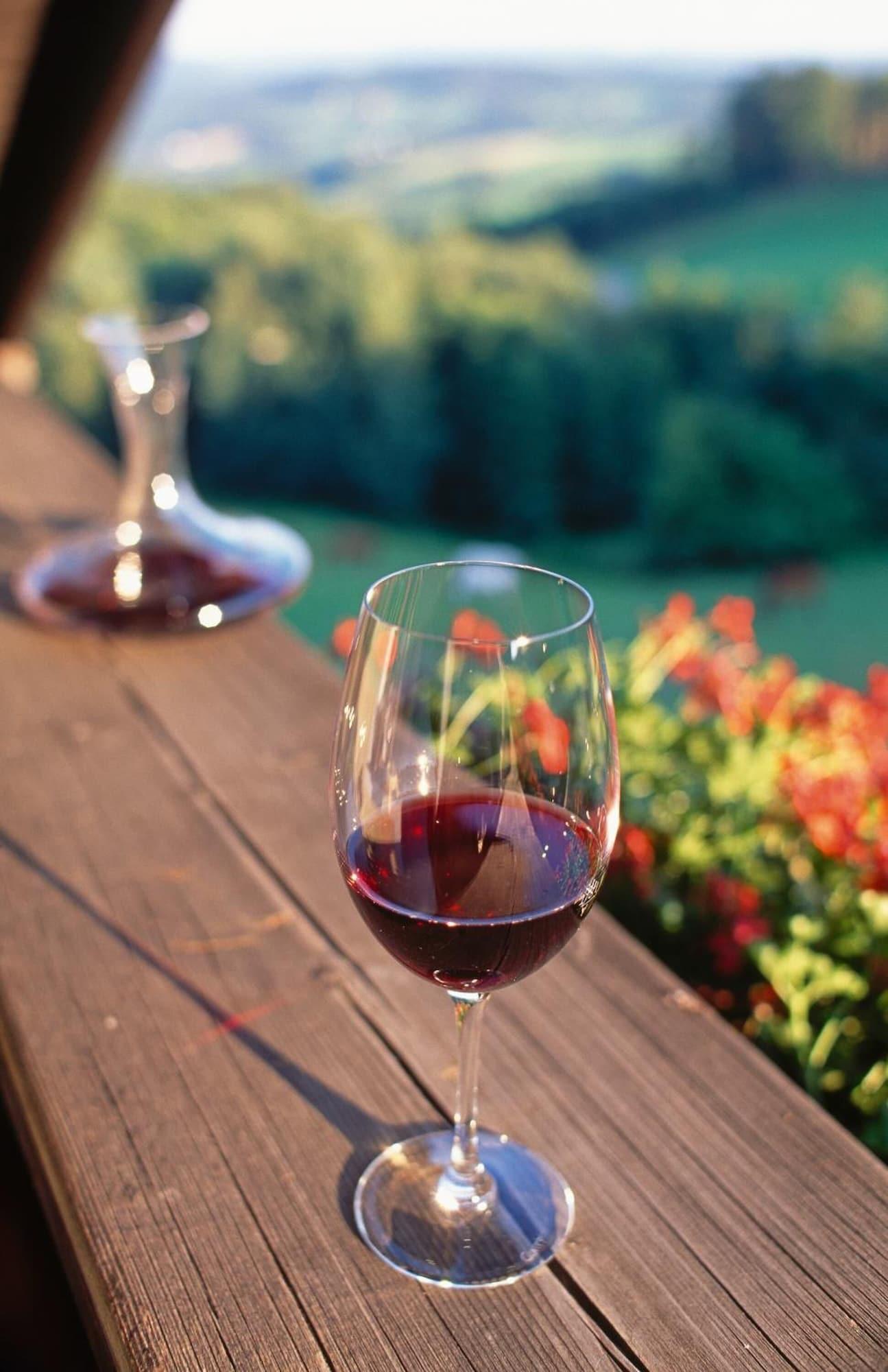 Restaurant Hotel Wienerwaldhof