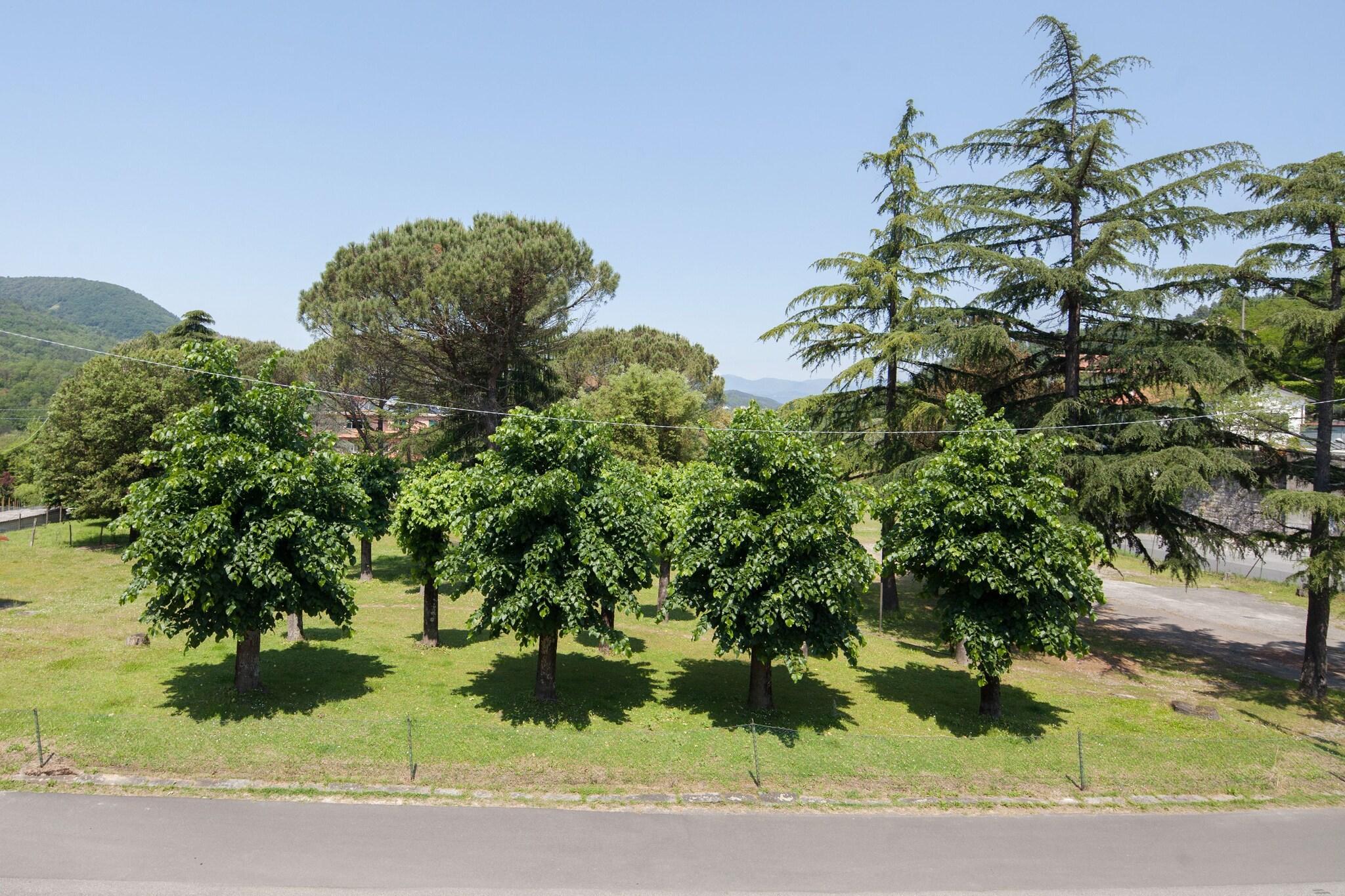 Varios Hotel Nella