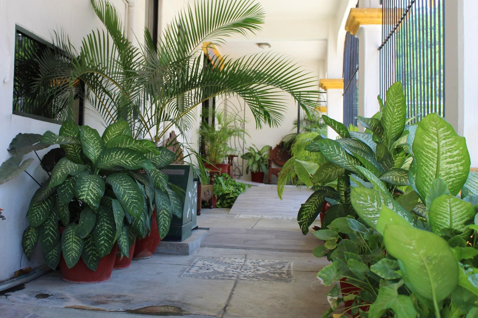 Varios Hotel Arrecife Plus