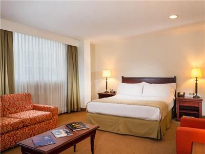 Hotel Hotel Dann Avenida 19