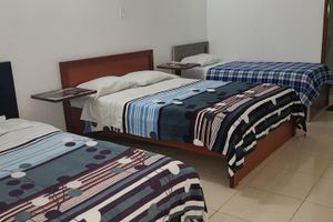 Alojamiento - Hotel Vermon