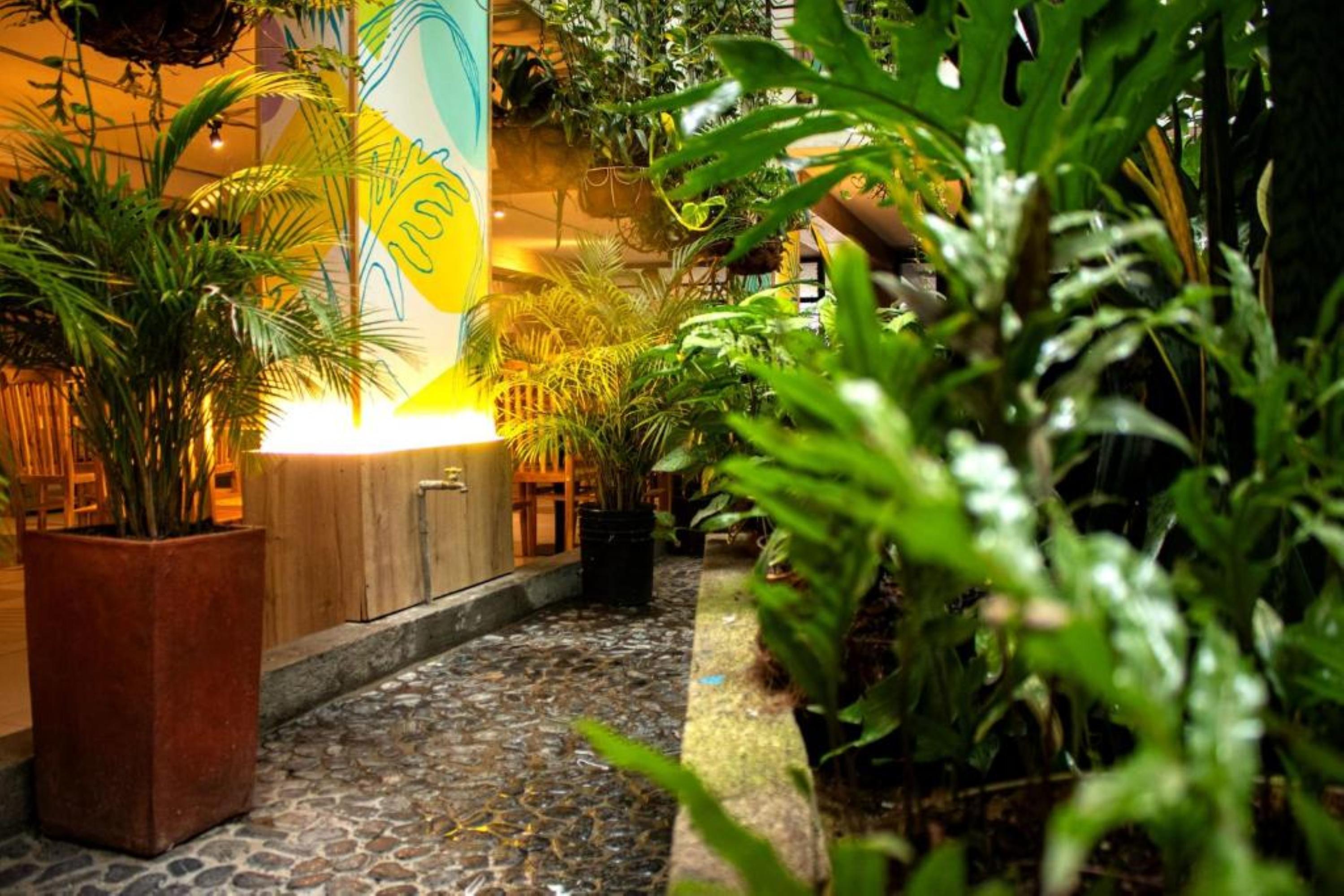 Vista Interior Natural Hotel