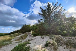 Alquiler Vacacional - 8 Person Holiday Home in Hals-by Traum