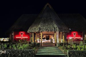 Paquete - Bloody Mary's Hotel