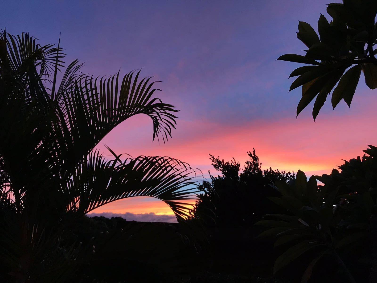 Playa Maui Garden Oasis