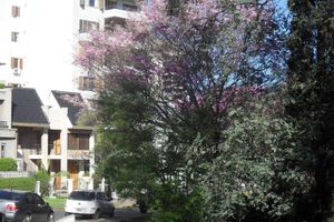 Alojamiento - Hostel Buena Vista