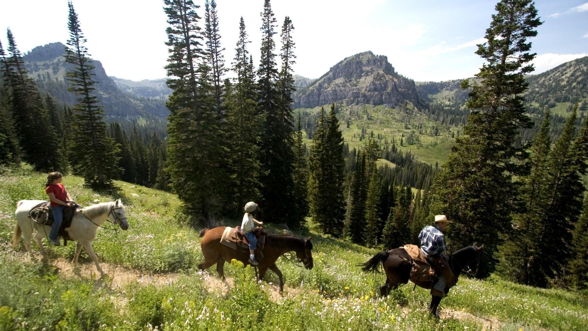 Instalaciones Recreativas Anglers Lodge