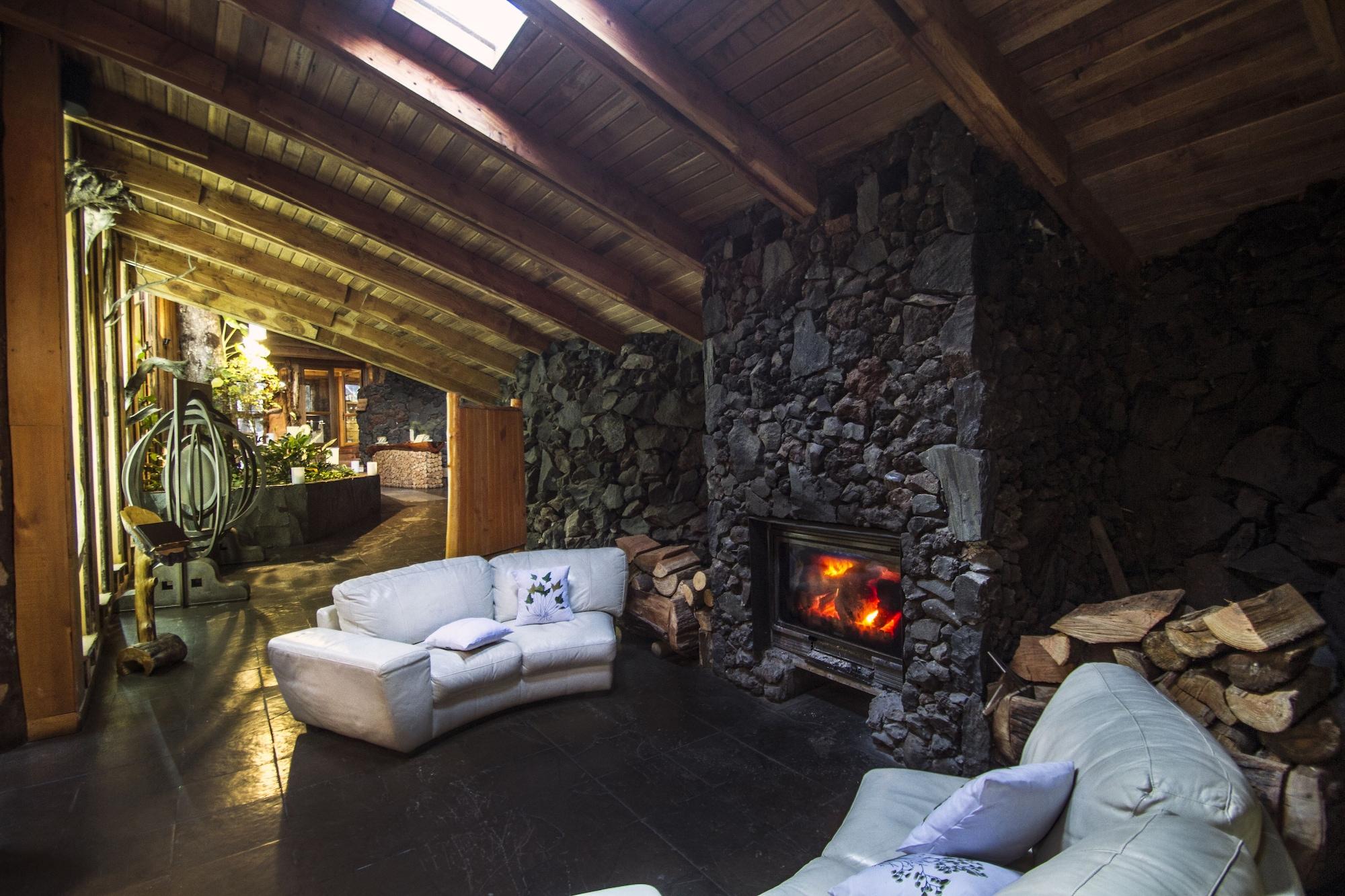 Spa Huilo Huilo Reino Fungi