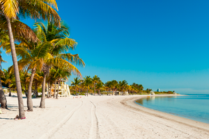 Paquete - Paquetes a Miami