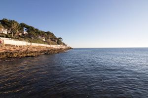 Alojamiento - La Tuilière