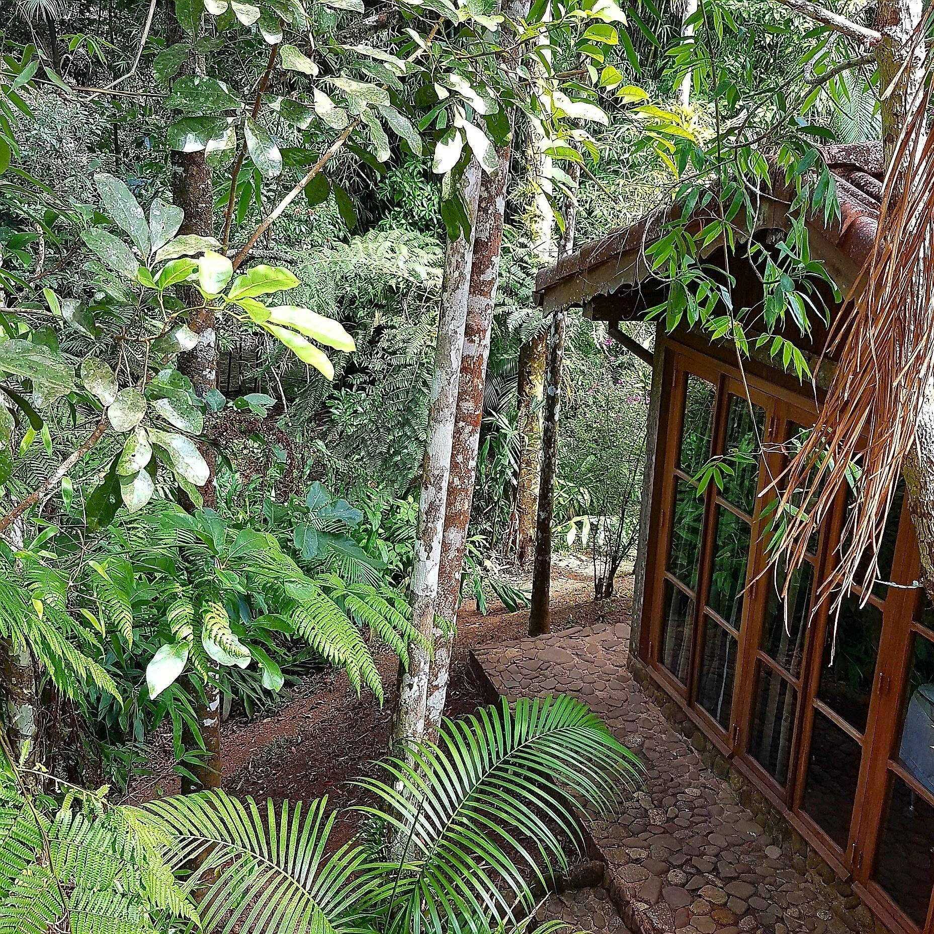 Equipamiento de Habitación Kanawha Eco Hotel