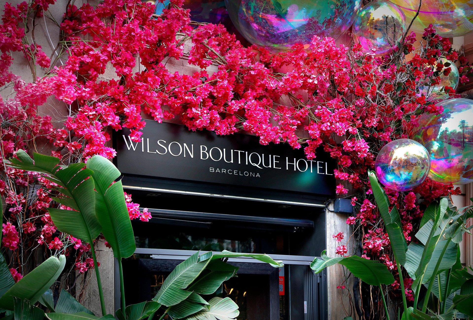 Vista Exterior Wilson Boutique Hotel