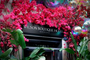 Alojamiento - Wilson Boutique Hotel