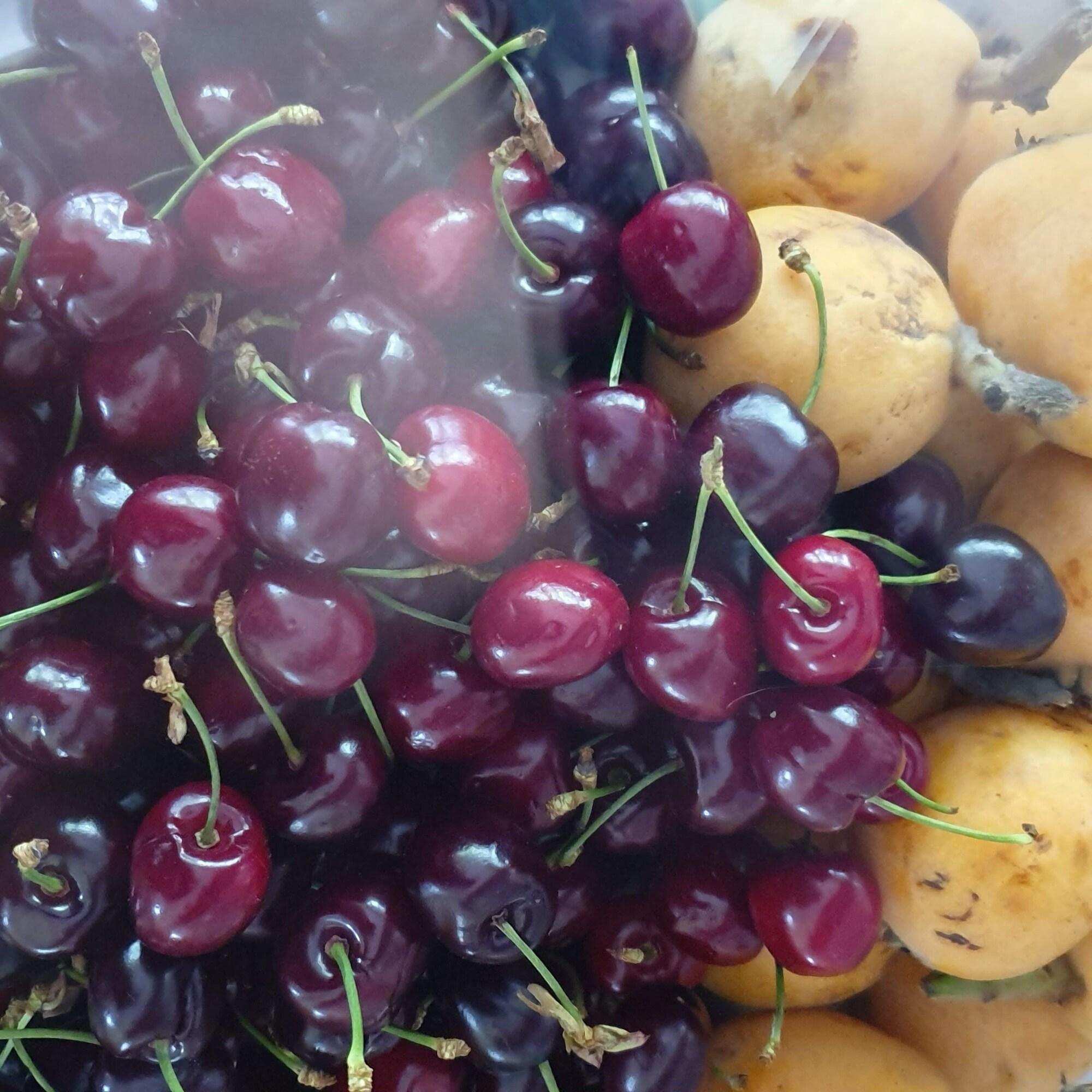 Instalaciones Recreativas Casa Nannina