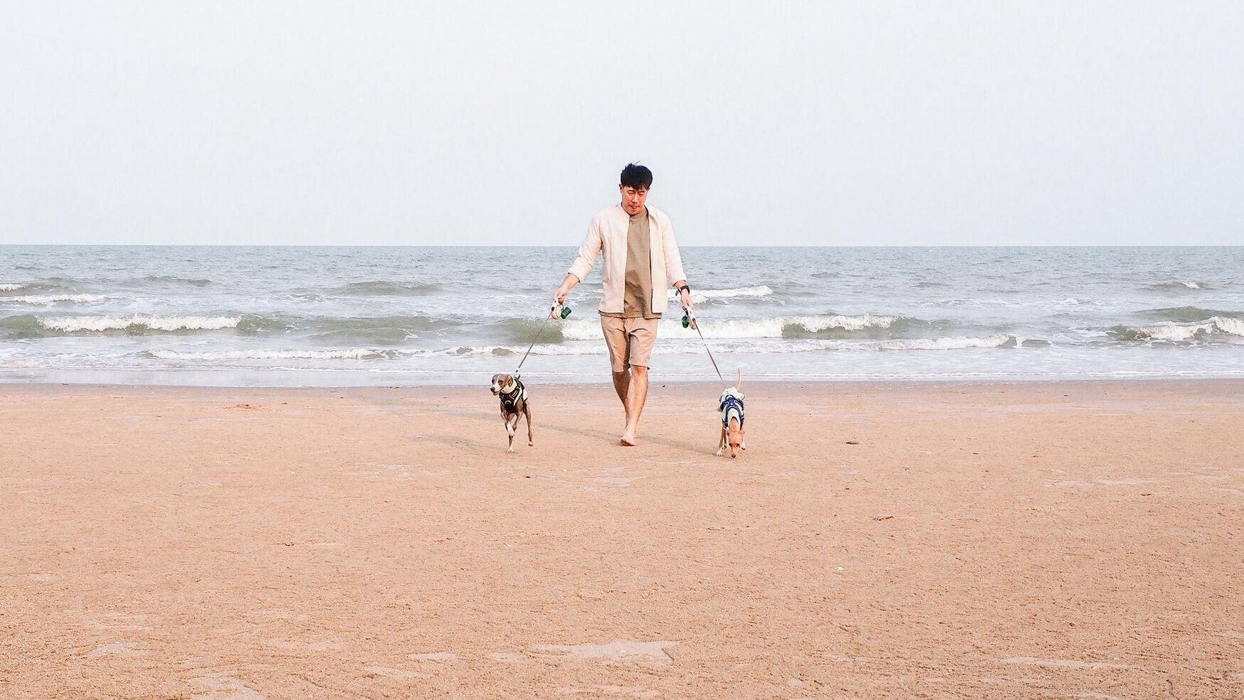 Vista Exterior Tolani Resort Kui Buri