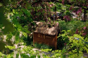 Alojamiento - Zhi Resort Beijing