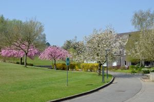 Alojamiento - Auberge des 3 Fontaines - Hostel