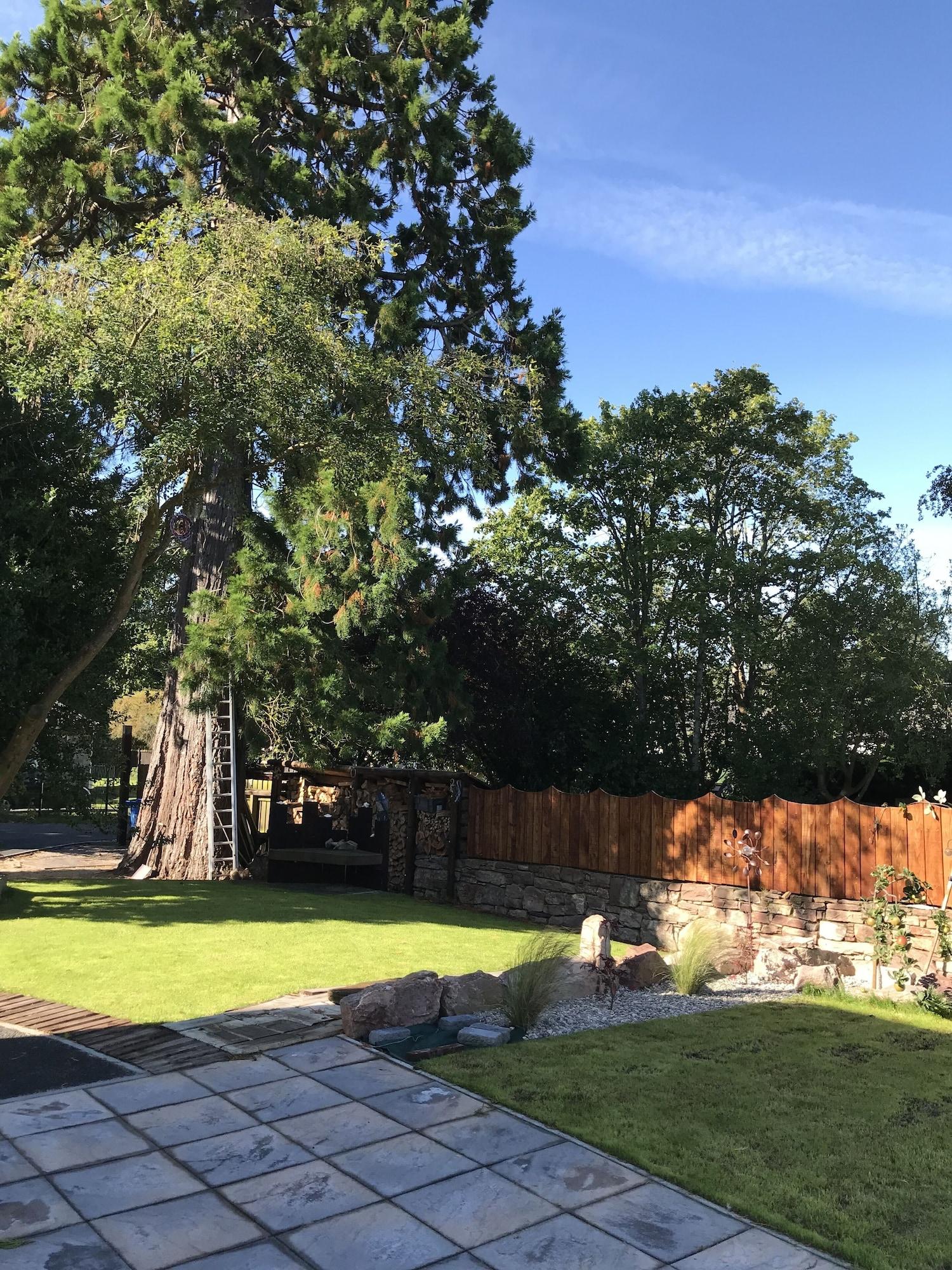 Comodidades del Alojamiento Pinewood Cottage