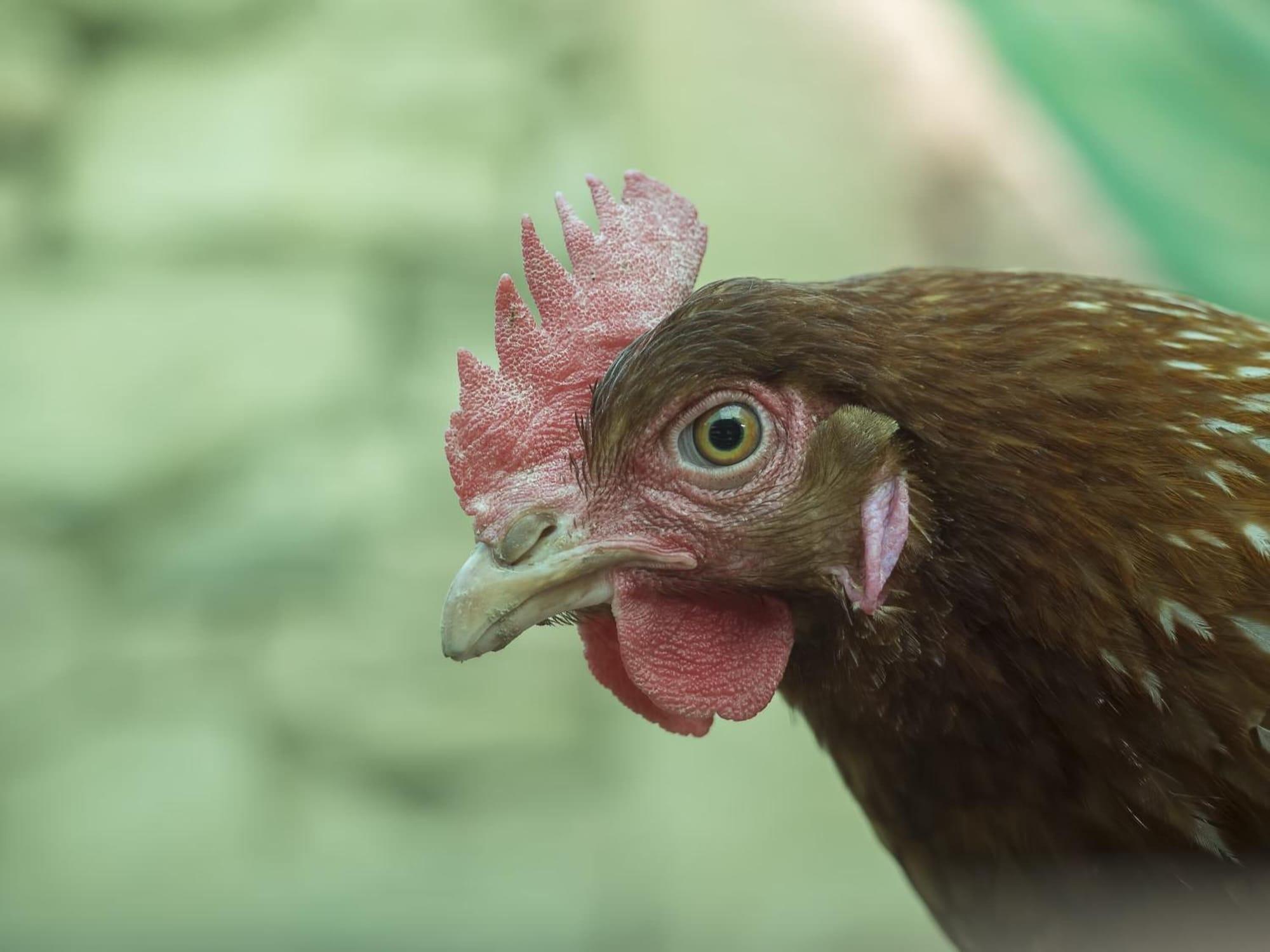 Vista Lobby Hotel Rural Bermellar