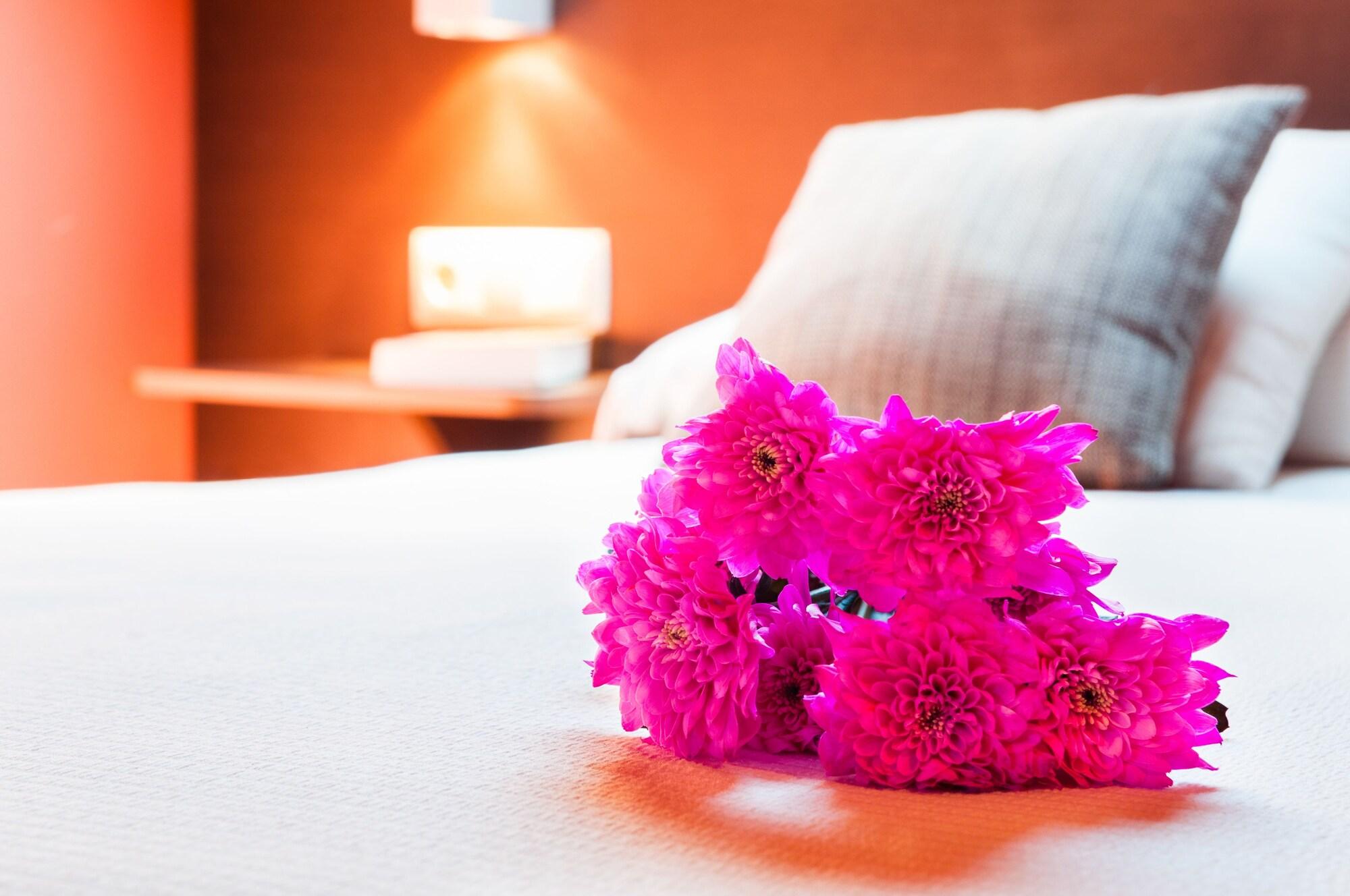 Habitación Hotel Esquirol