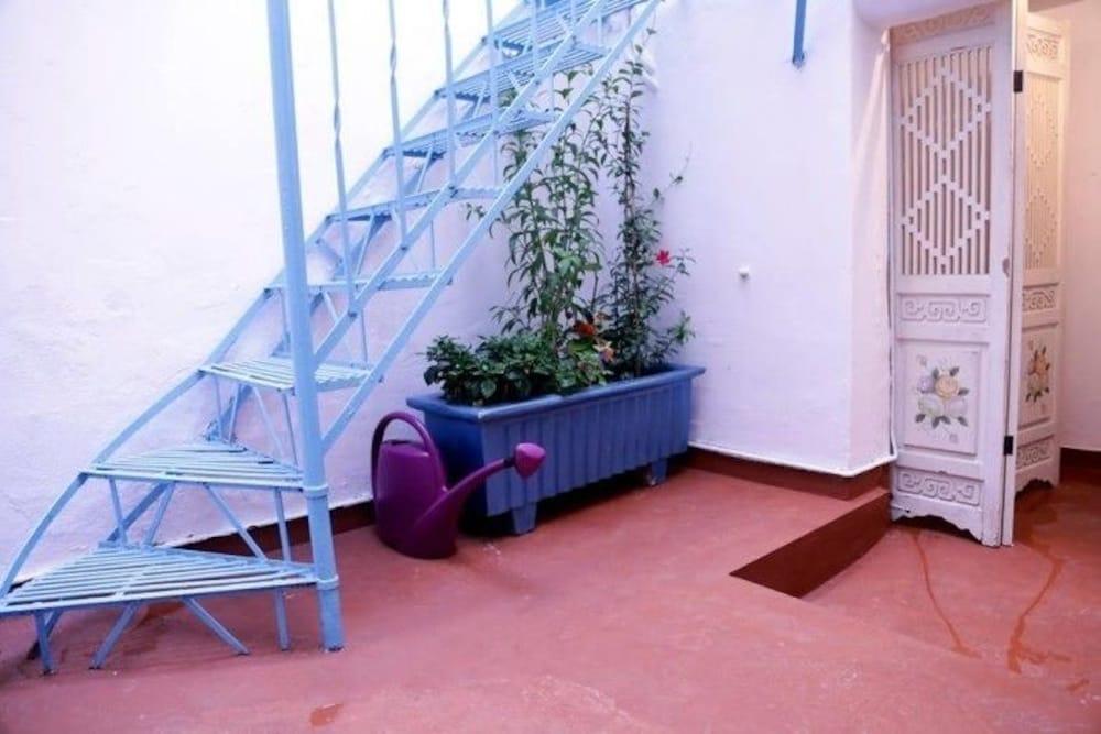 Comodidades del Alojamiento Chameleon Youth Hostel - Hostel