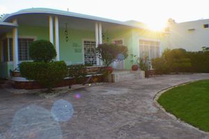 Alquiler Vacacional - Beautiful Mid Century house, 5 bedroom, 1 studio, large backyard and pool.