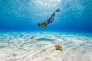 Actividad - Tour en barco transparente y snorkel en Cozumel