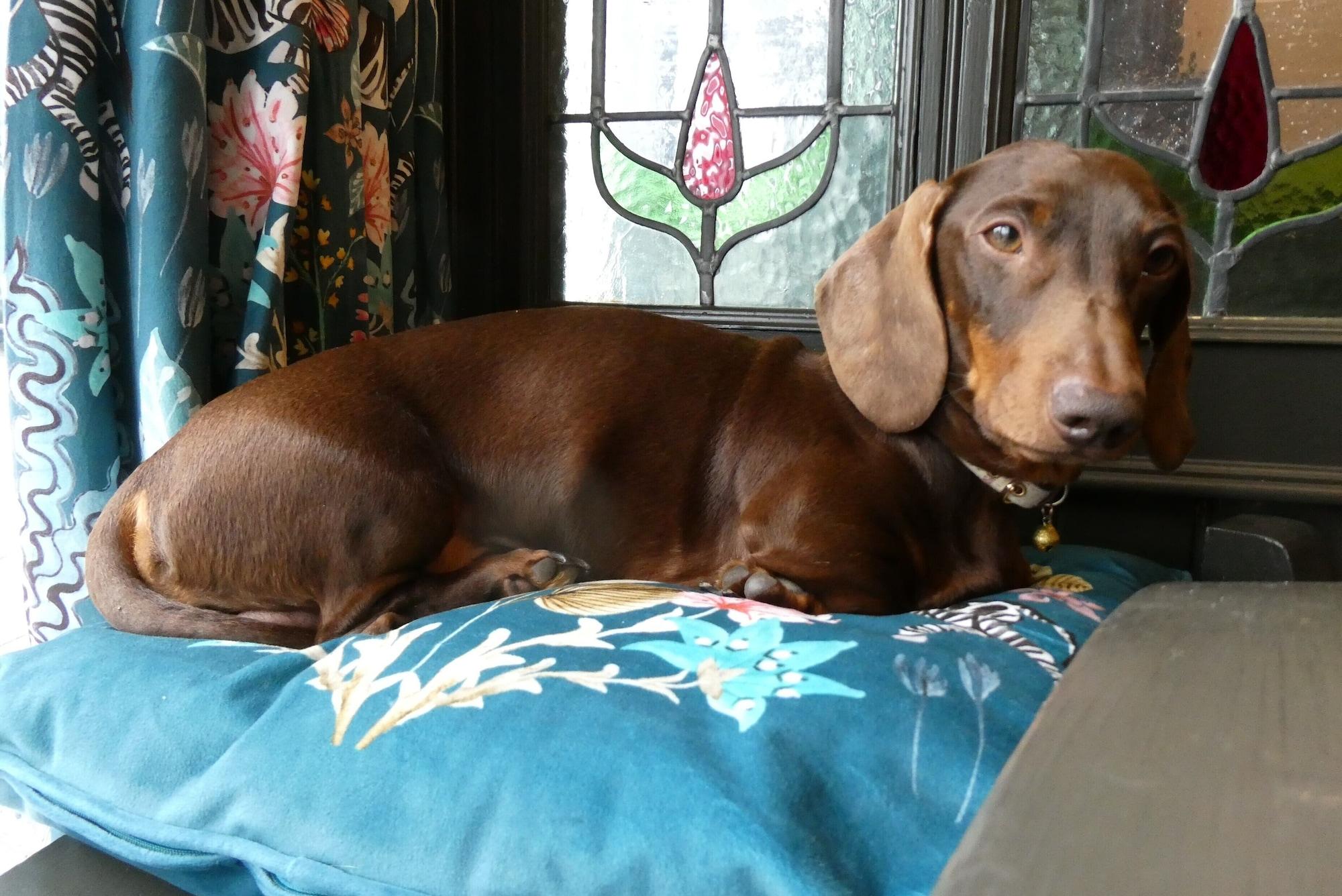Vista Lobby The Castle Tavern