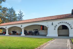 Actividad - Viña Undurraga (Transporte, Ticket, Degustación y Copa)