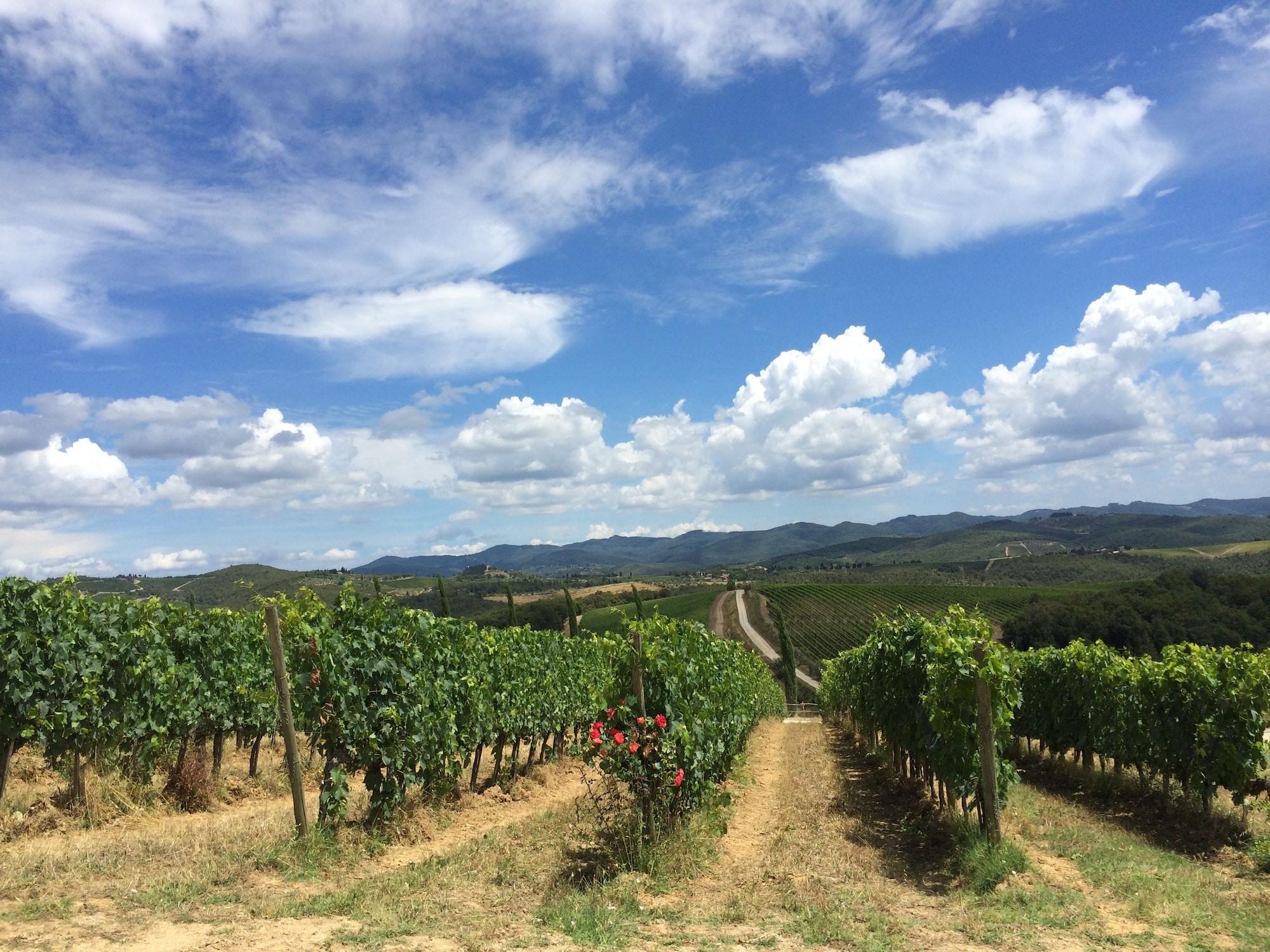 Vista Exterior Dievole Wine Resort