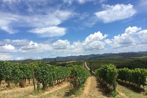 Alojamiento - Dievole Wine Resort