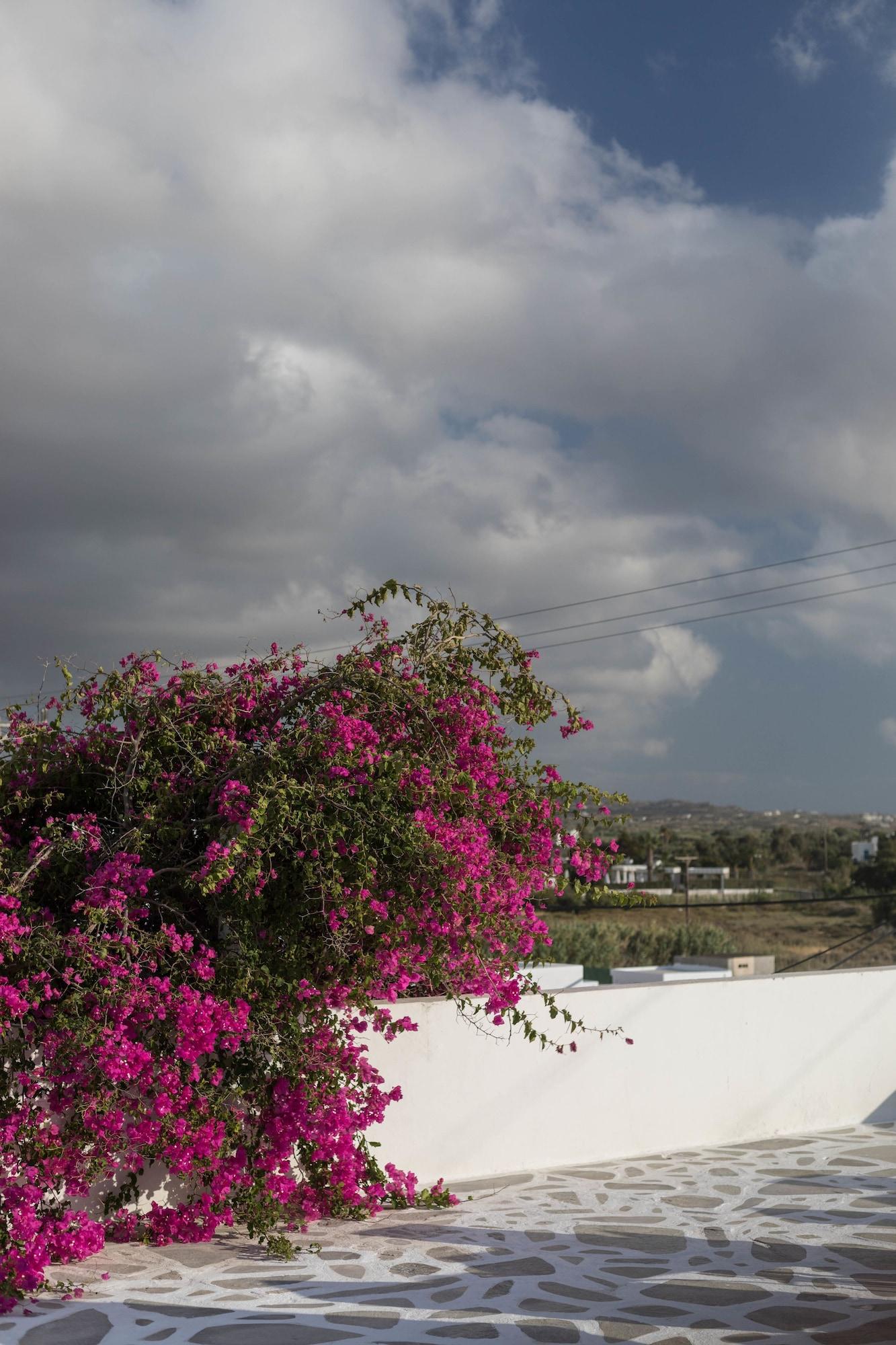 Vista Exterior Mare Naxia