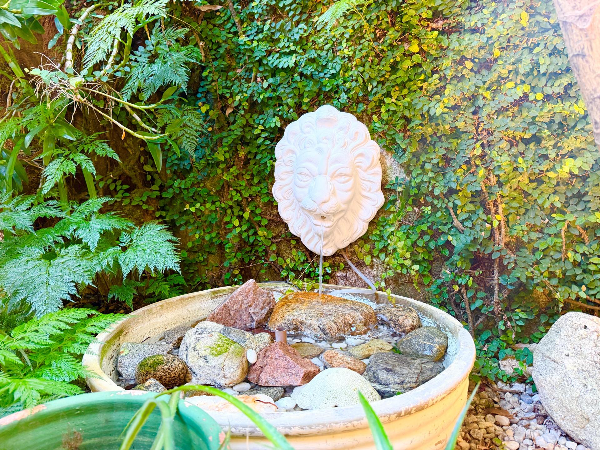 Zona de estar Pousada Recanto das Palmeiras Itagua - Ubatuba