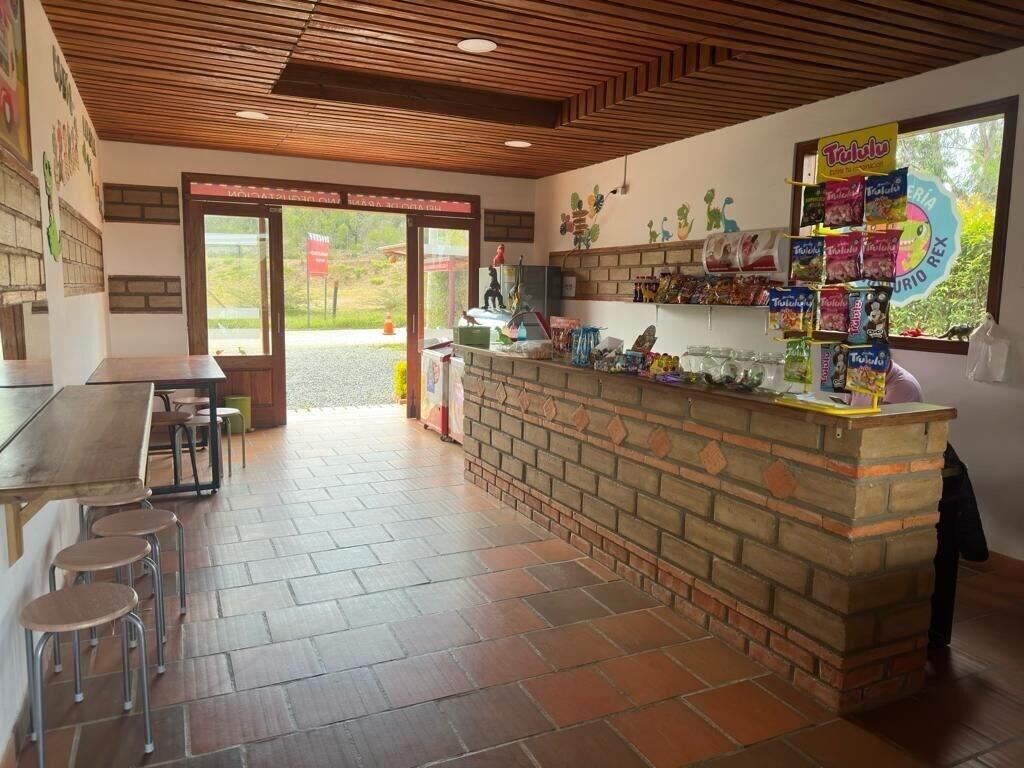 Equipamiento de Habitación hotel pliosaurio campestre