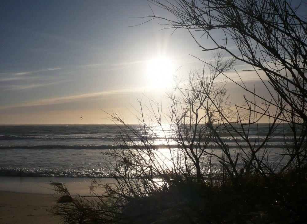 Playa Intorno al Fico Hotel