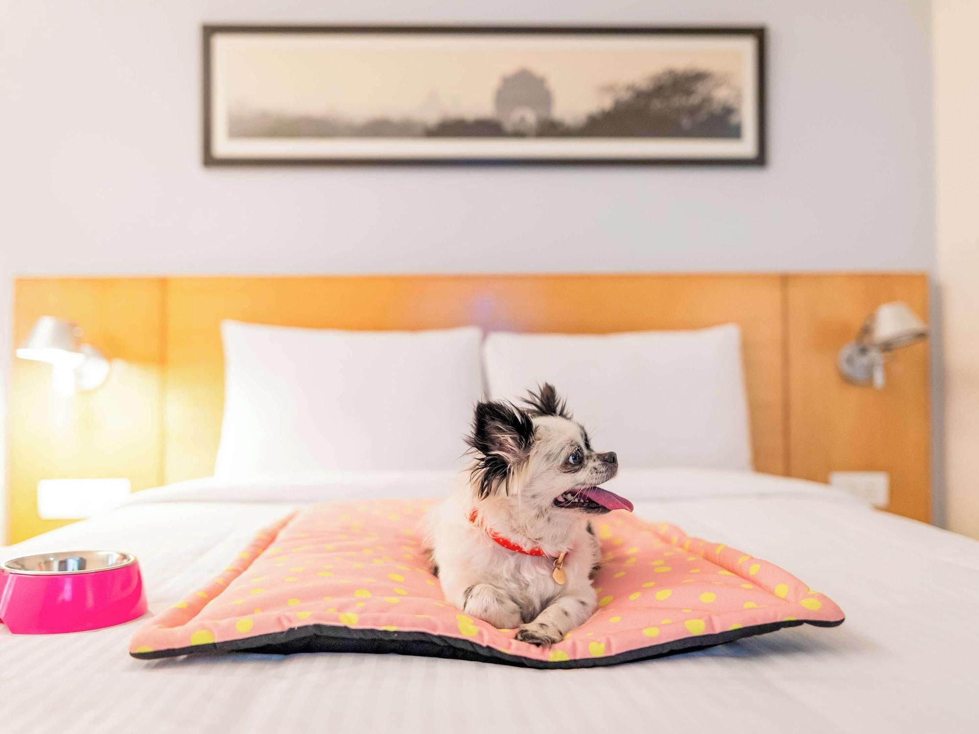 Comodidades del Alojamiento ibis Nürnberg Hauptbahnhof